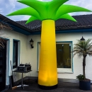 AirPalm_2