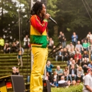 RCA_Sommer